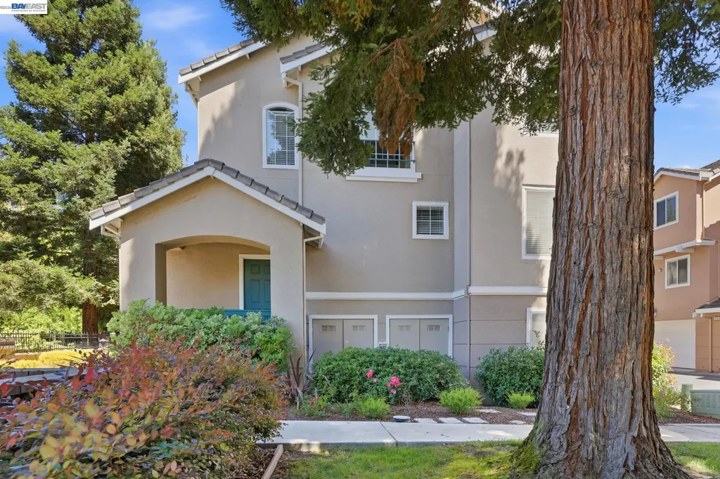 9003 Falcon Street Danville CA 94506