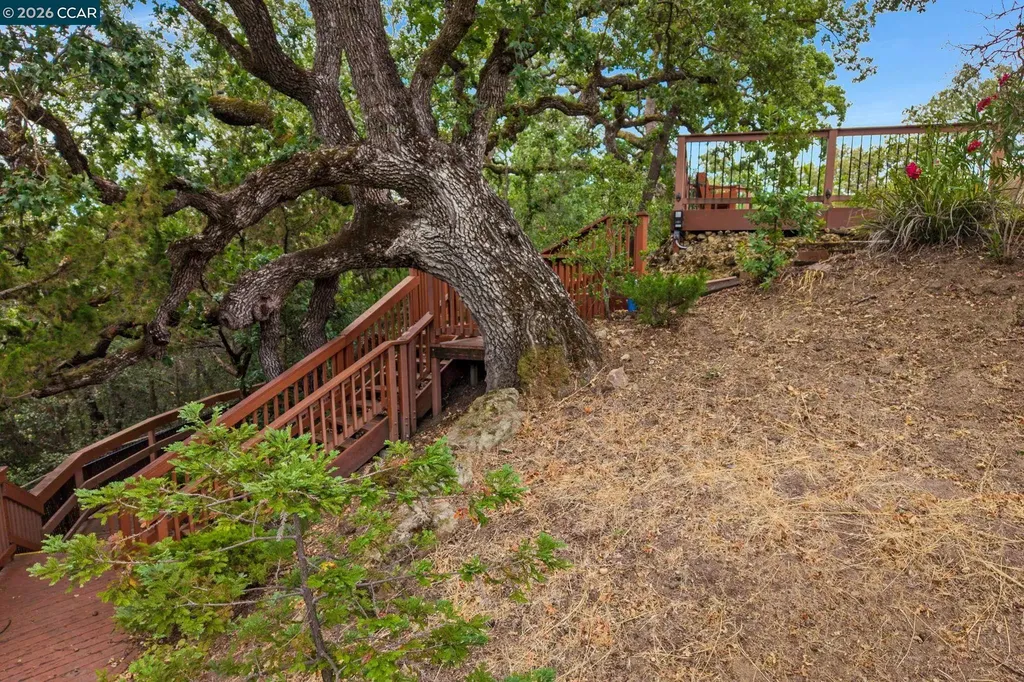 1891 Meadow Lane Walnut Creek CA 94595