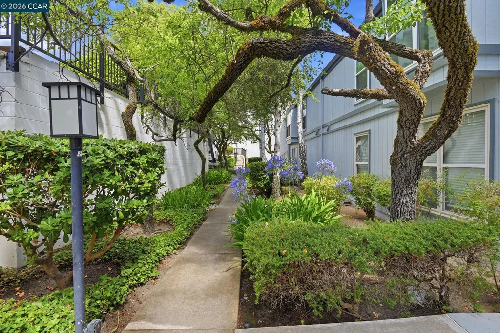 2087 Ascot Drive Moraga CA 94556