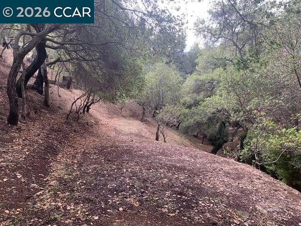 Mountain View Avenue Oakland CA 94605
