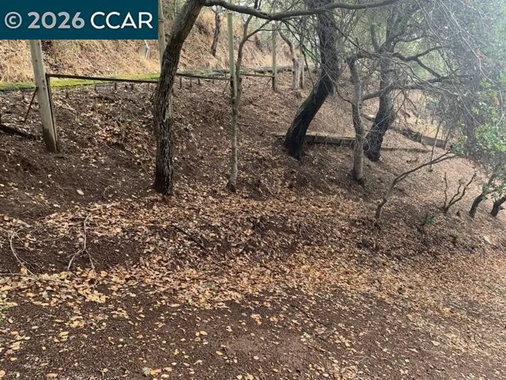 Mountain View Avenue Oakland CA 94605