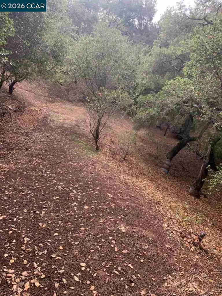Mountain View Avenue Oakland CA 94605