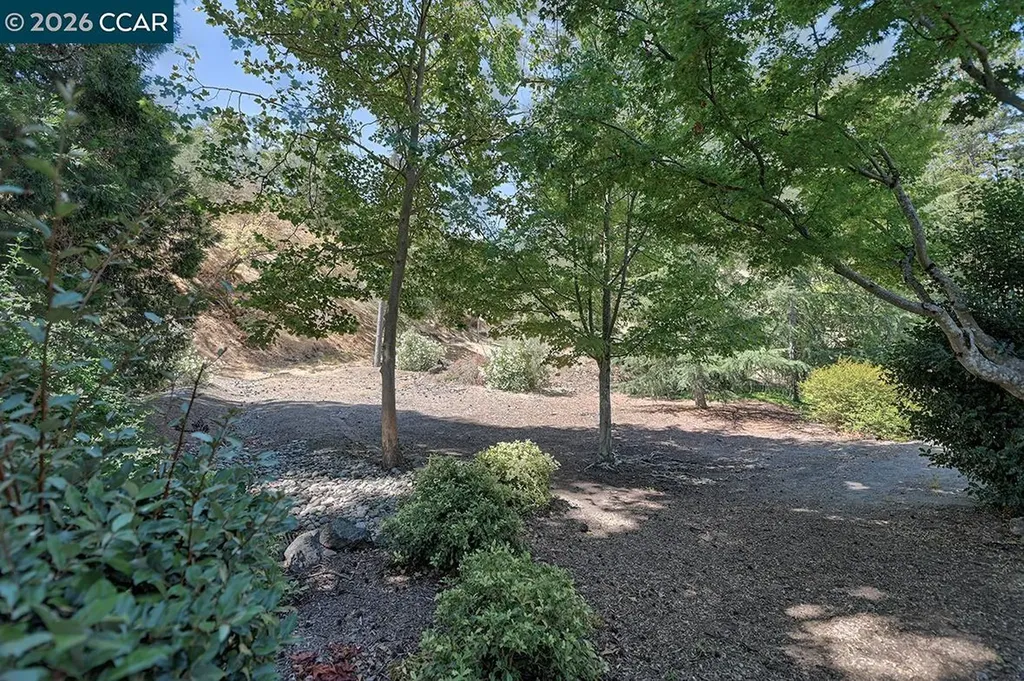 1517 Oakmont Drive Walnut Creek CA 94595