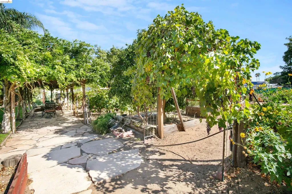 105 Bolton Road Oakley CA 94561