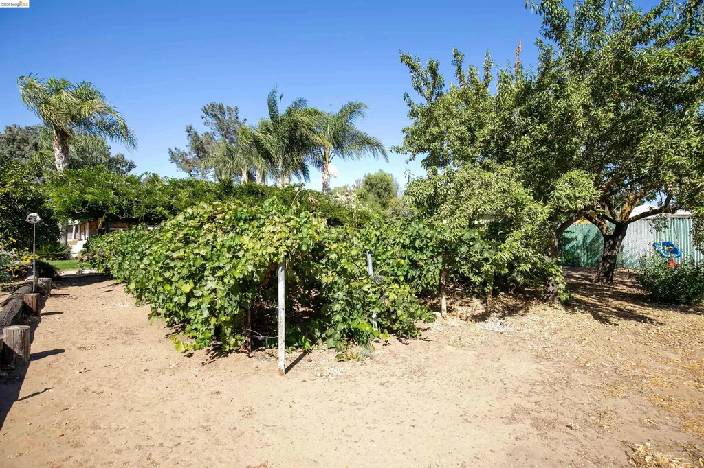 105 Bolton Road Oakley CA 94561