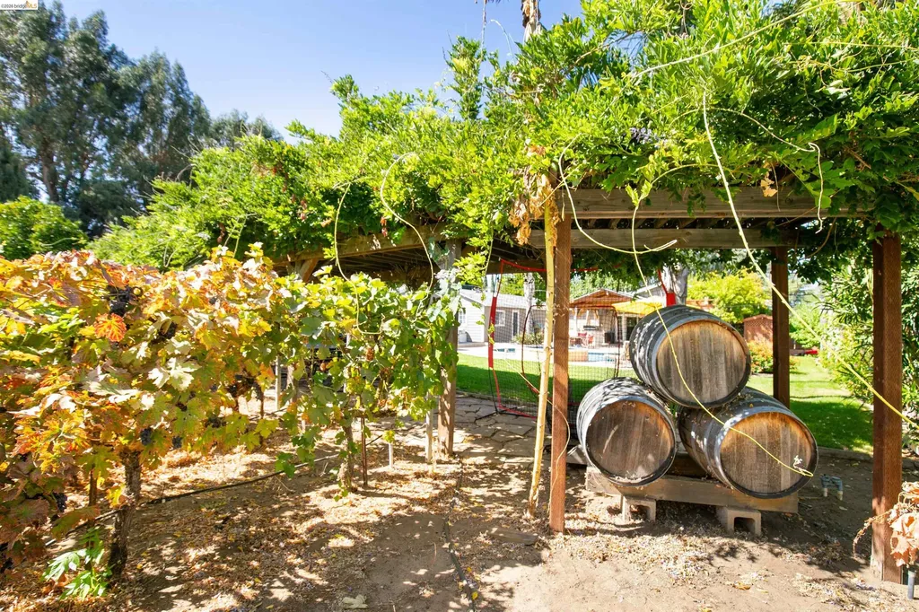 105 Bolton Road Oakley CA 94561