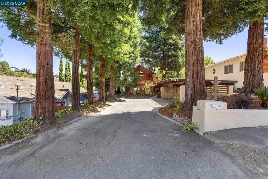 17460 Vineyard Road Castro Valley CA 94546