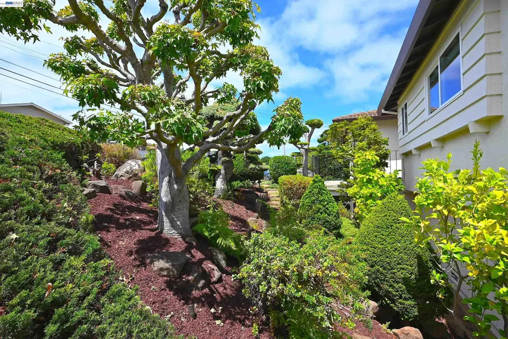 21714 Shadyspring Road Castro Valley CA 94546