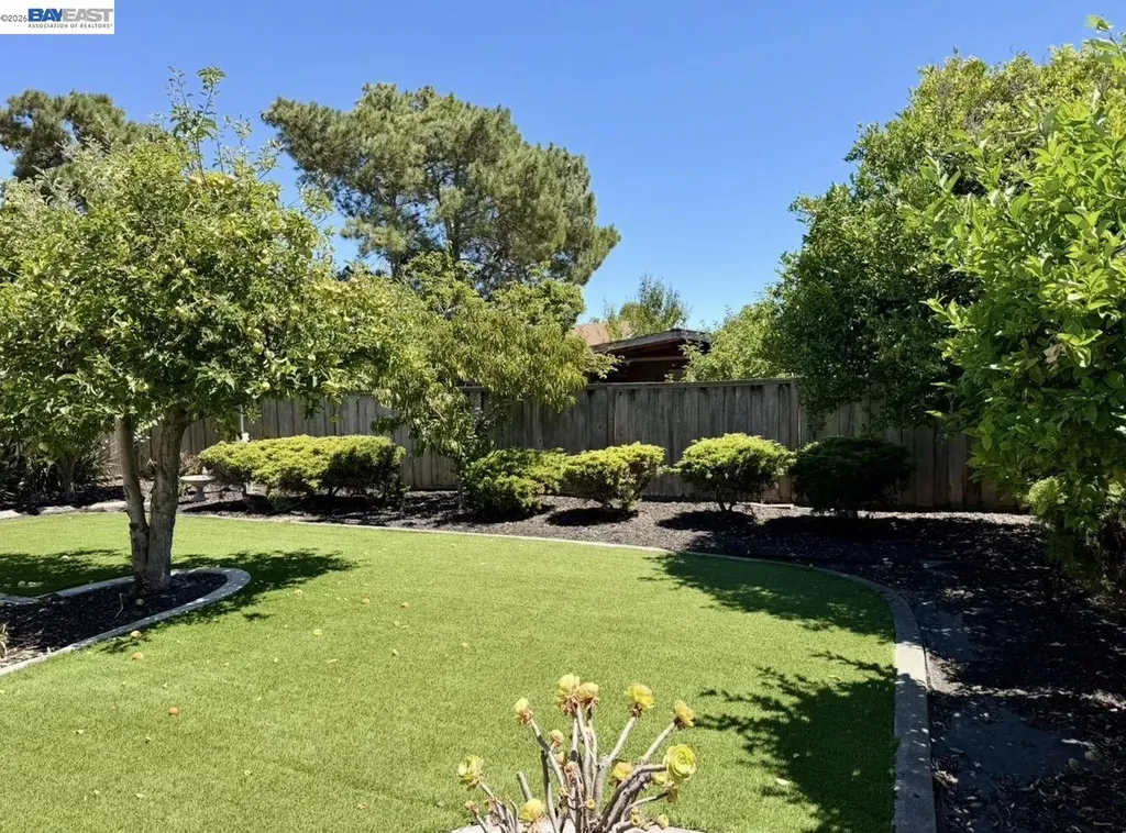 4846 Sally Court Union City CA 94587