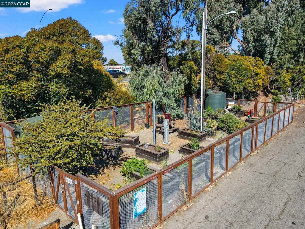 557 43rd Street Oakland CA 94609