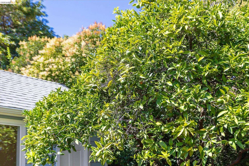 4436 Hyacinth Avenue Oakland CA 94619