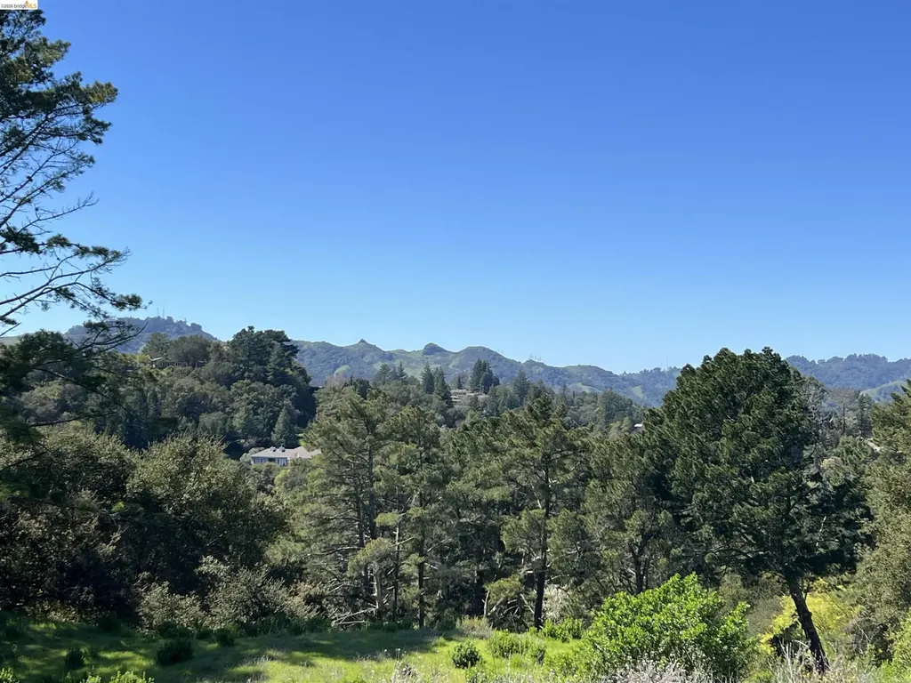 82 Zander Drive Orinda CA 94563