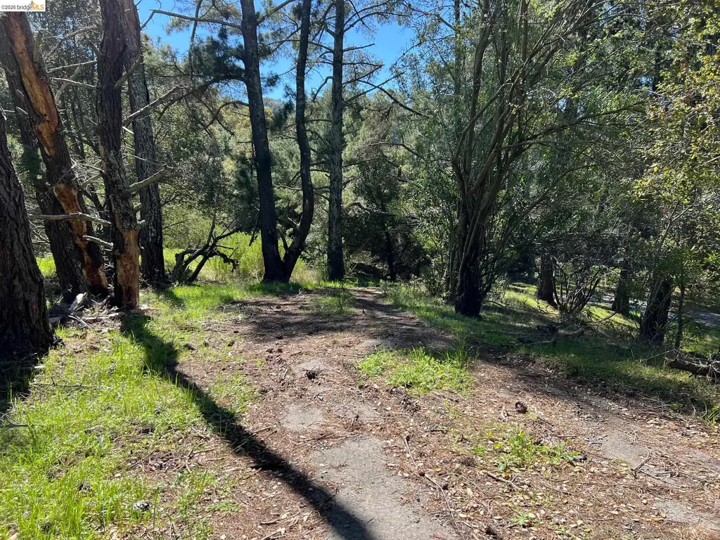 58 Zander Court Orinda CA 94563