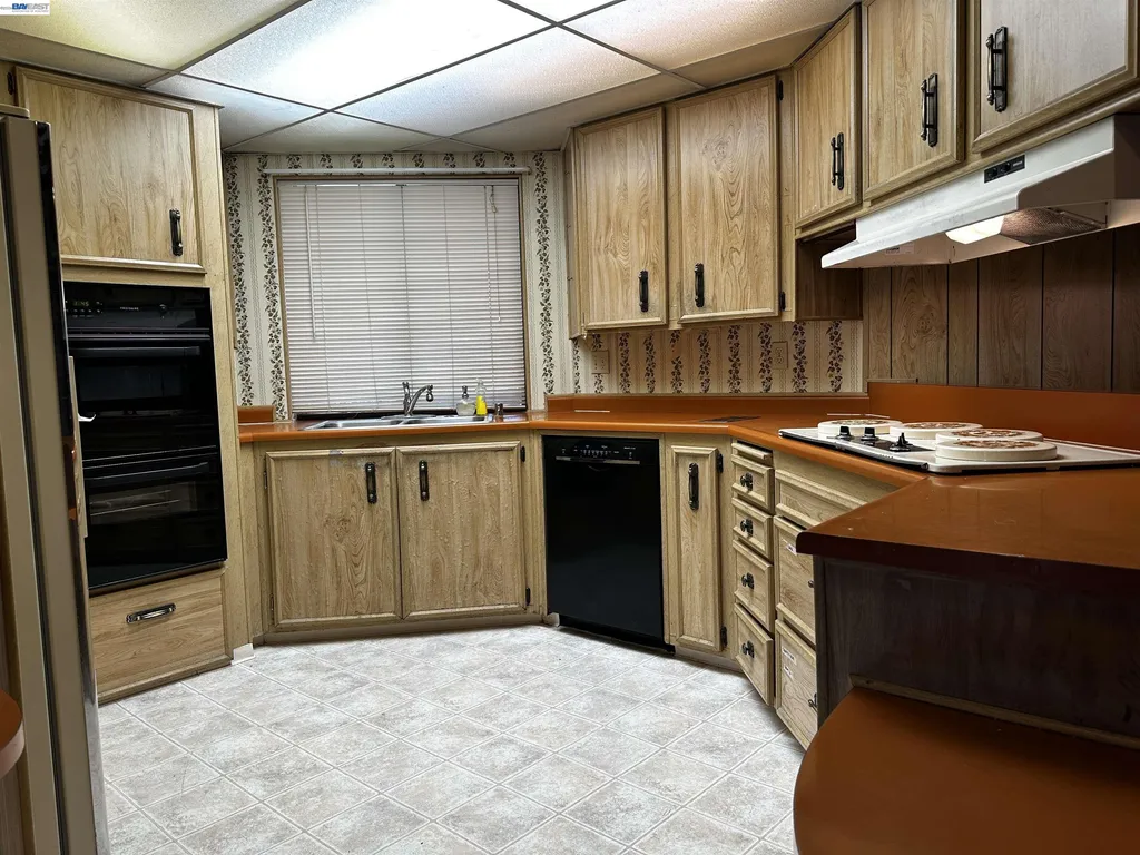 29258 Whalebone Way Hayward CA 94544