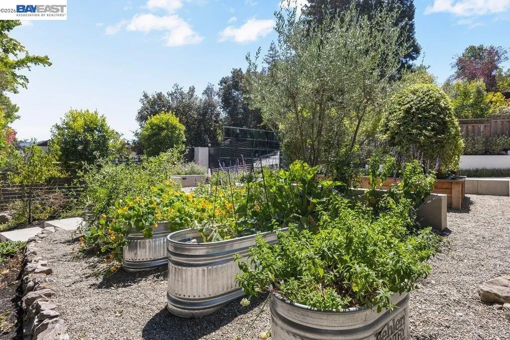 271 Livorna Heights Road Alamo CA 94507