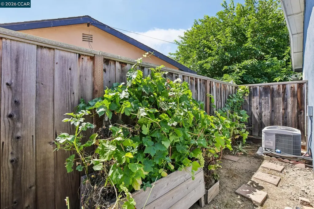 36436 Reina Place Newark CA 94560