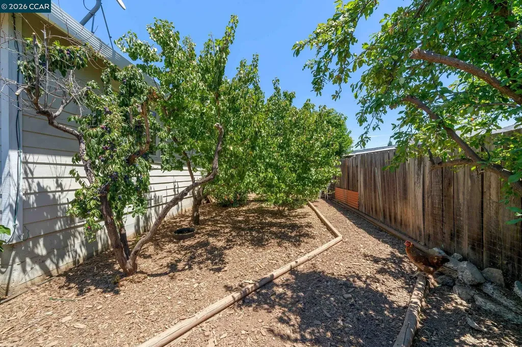 1361 La Vista Avenue Concord CA 94521