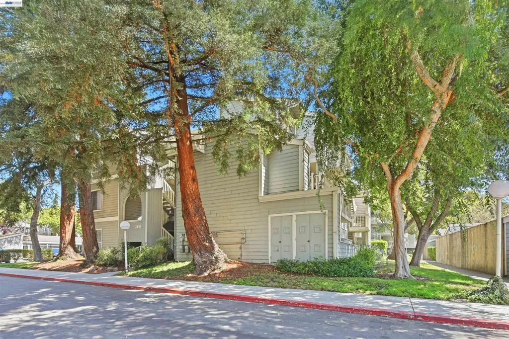 3655 Birchwood Terrace Fremont CA 94536