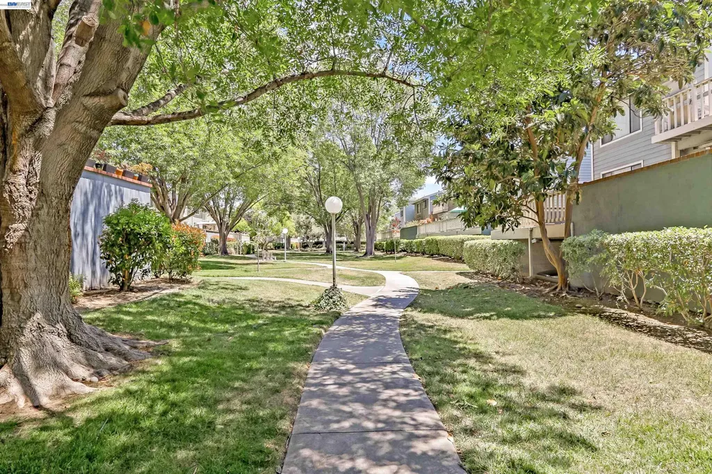 3655 Birchwood Terrace Fremont CA 94536