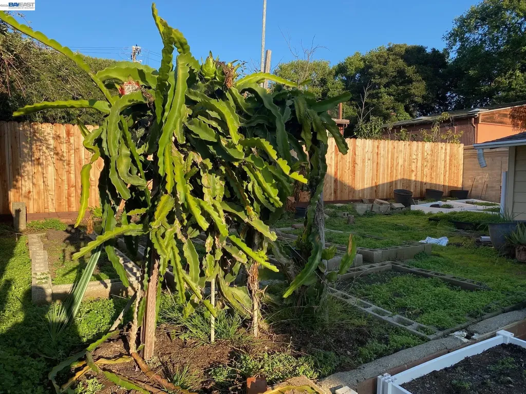 3264 Kansas Oakland CA 94602