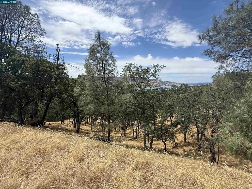 1123 Steele Canyon Road Napa CA 94558