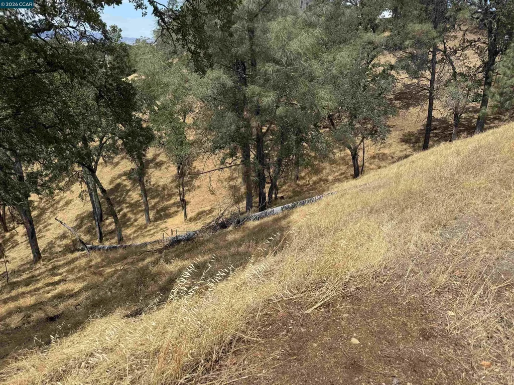 1123 Steele Canyon Road Napa CA 94558