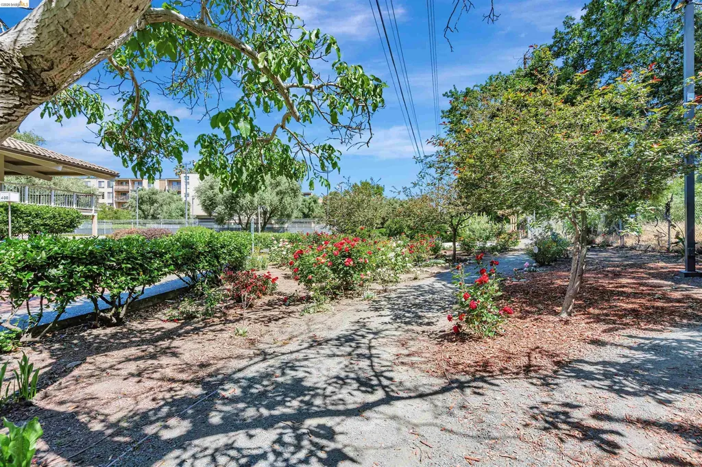 490 Civic Drive Walnut Creek CA 94596