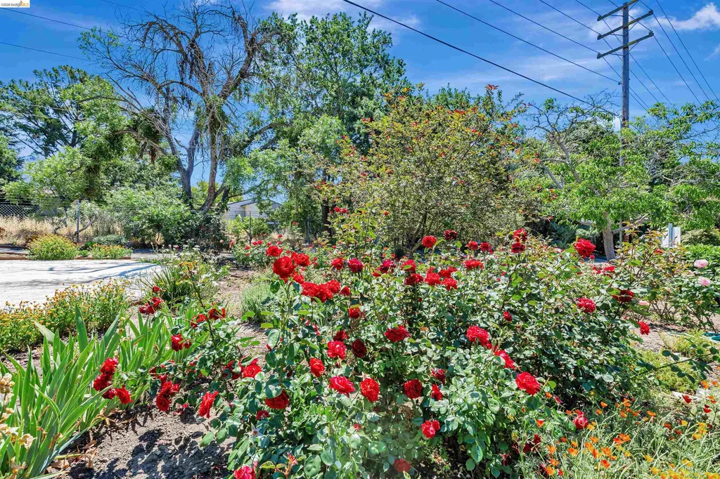490 Civic Drive Walnut Creek CA 94596