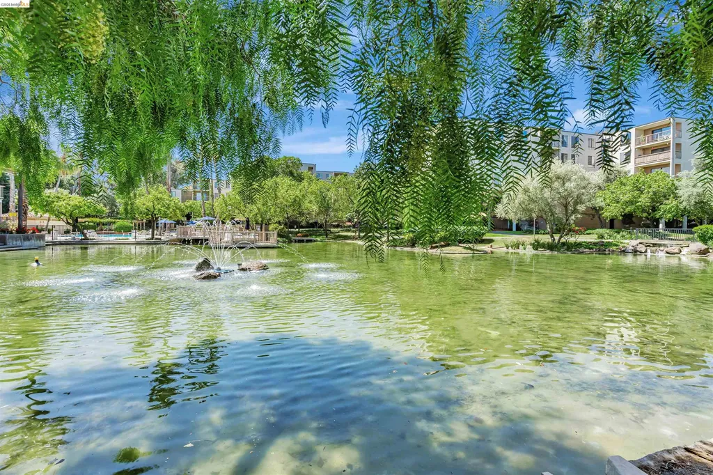 490 Civic Drive Walnut Creek CA 94596