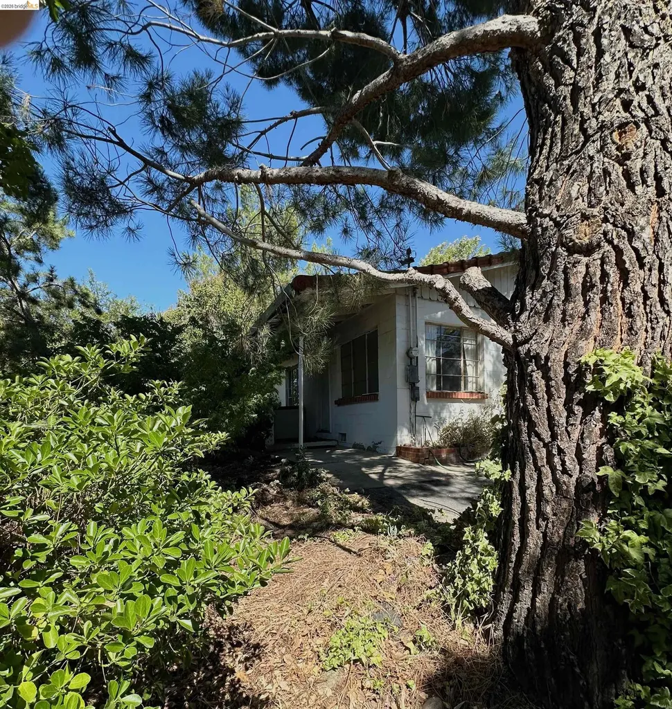 1810 3rd Avenue Walnut Creek CA 94597