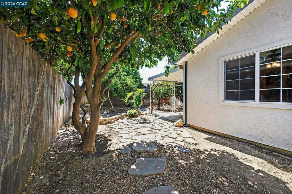 552 Redwood Drive Vacaville CA 95687