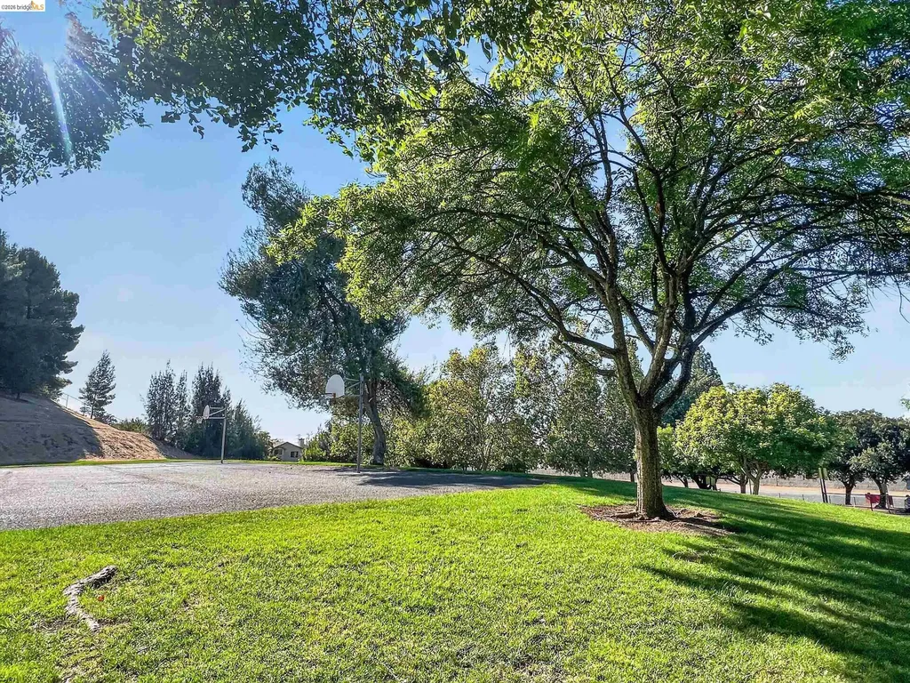2717 Lobelia Court Antioch CA 94531
