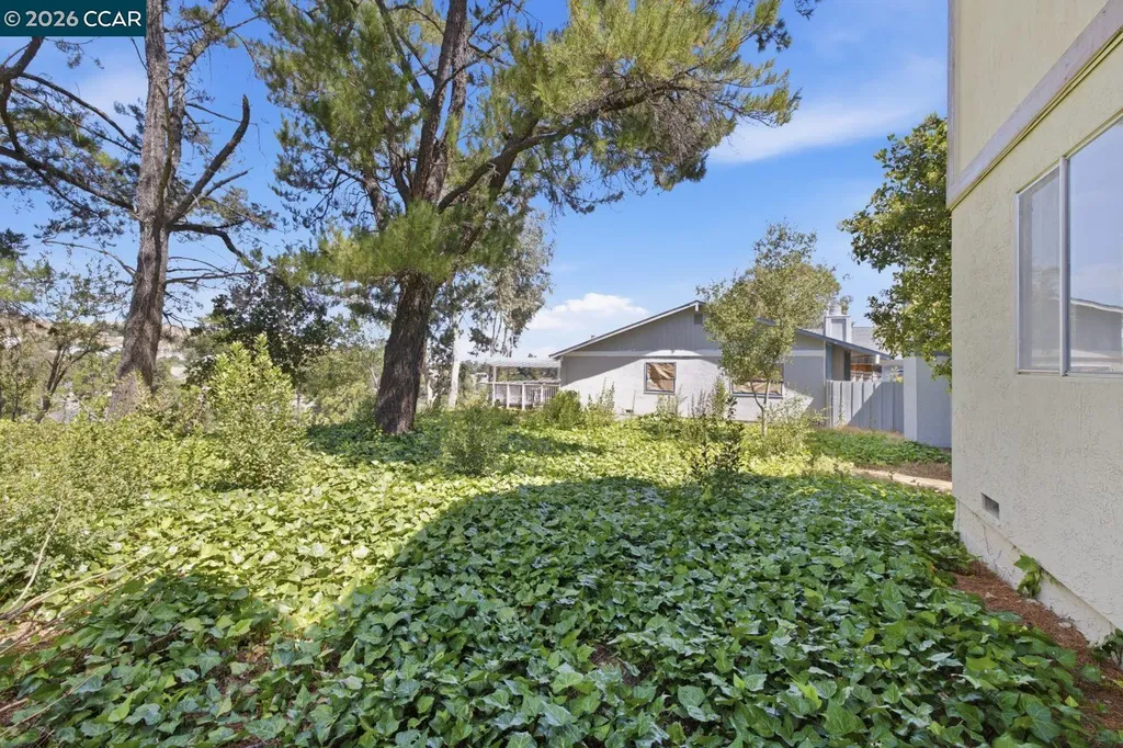 565 Mt Dell Drive Clayton CA 94517