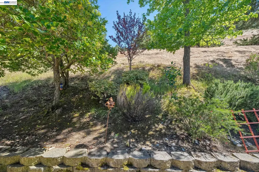 2029 Ptarmigan Drive Walnut Creek CA 94595