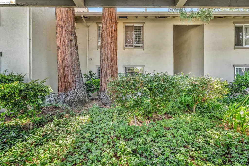 2562 Walnut Boulevard Walnut Creek CA 94596