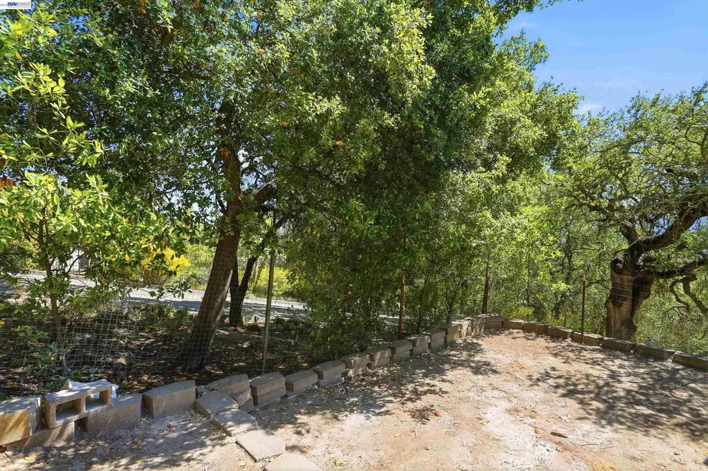 506 Oakshire Place Alamo CA 94507