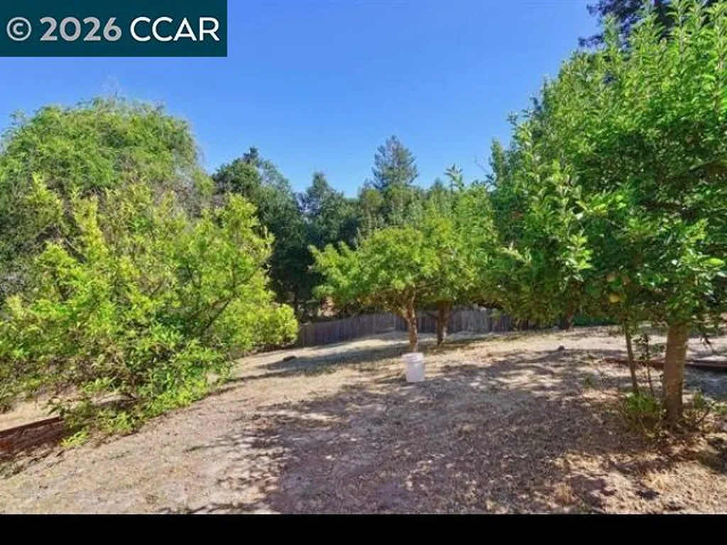 44 Squire Court Alamo CA 94507