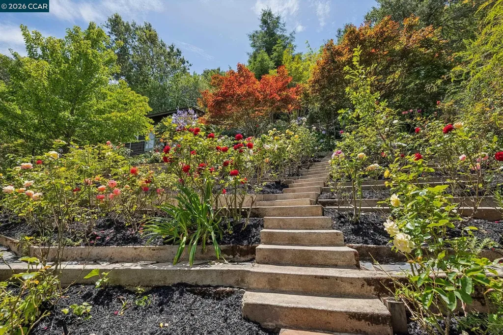 6 Monte Vista Road Orinda CA 94563