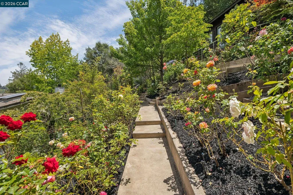 6 Monte Vista Road Orinda CA 94563