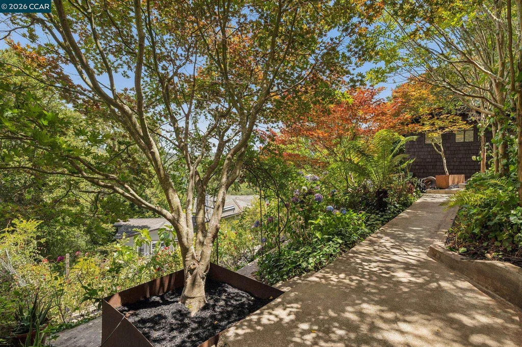 6 Monte Vista Road Orinda CA 94563