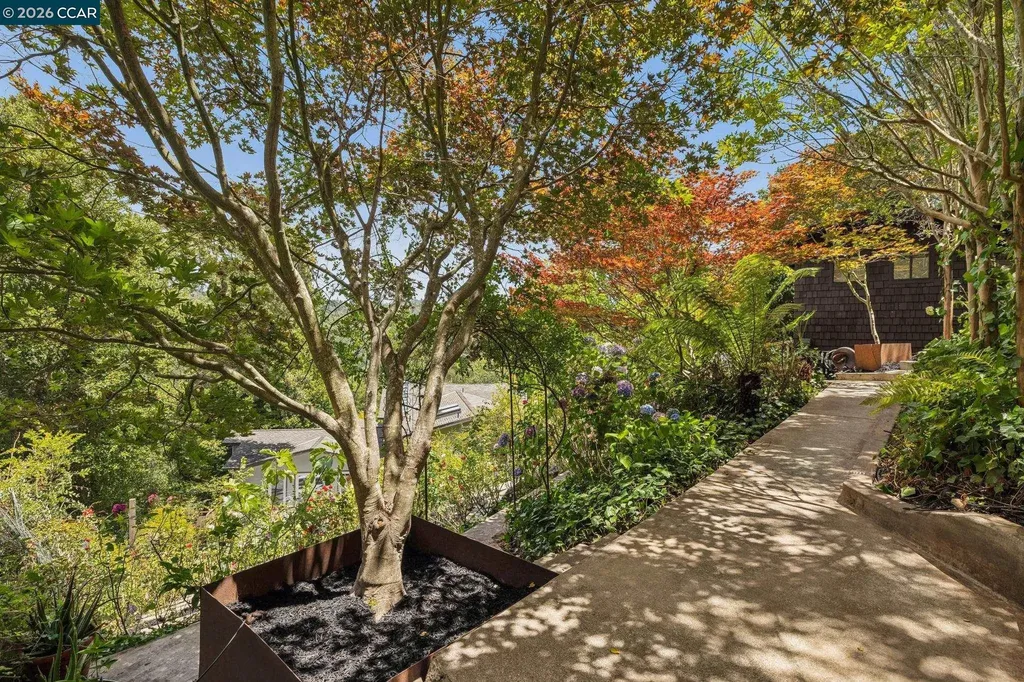 6 Monte Vista Road Orinda CA 94563