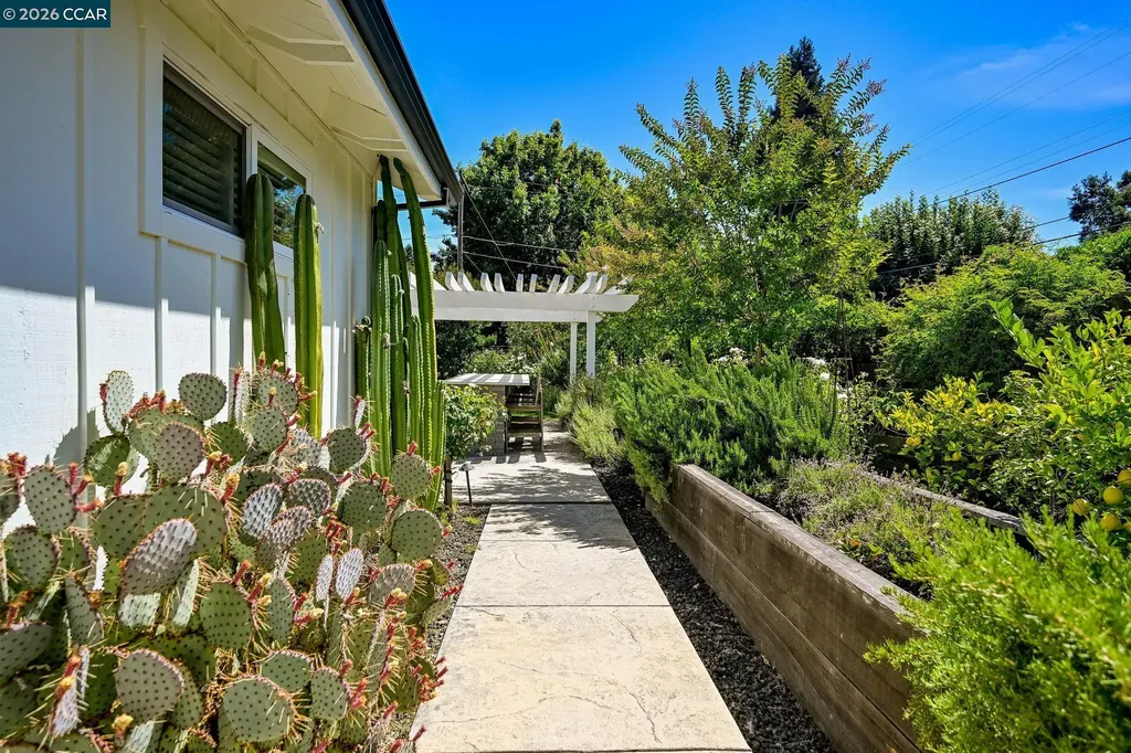 128 Via Bonita Alamo CA 94507