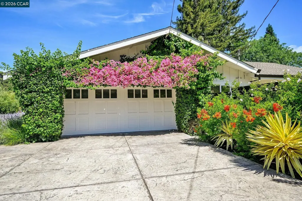 128 Via Bonita Alamo CA 94507