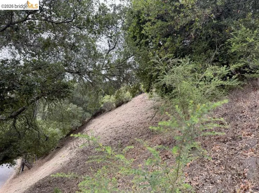 7243 Thorndale Drive Oakland CA 94611