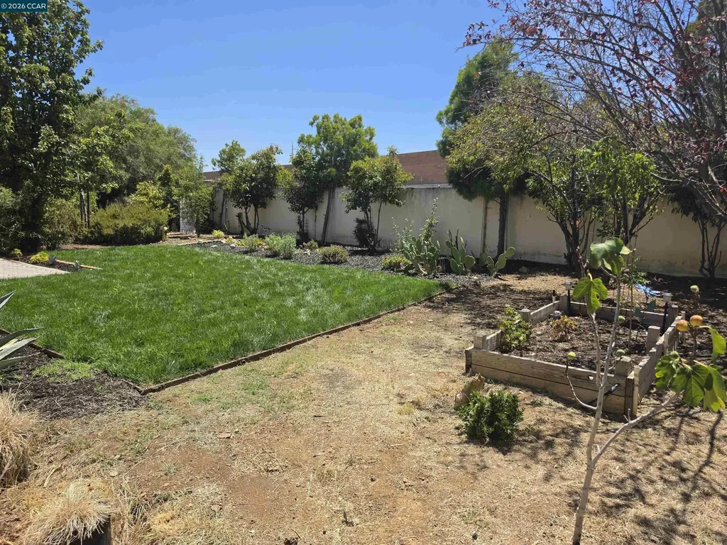 1641 Regent Drive Brentwood CA 94513