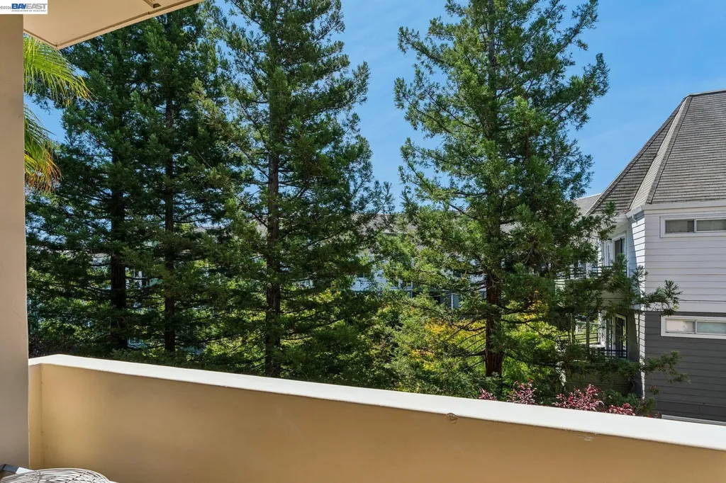 1315 Alma Avenue Walnut Creek CA 94596