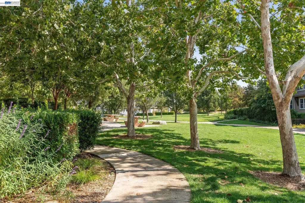 1315 Alma Avenue Walnut Creek CA 94596