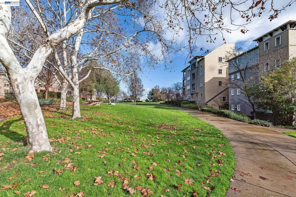 1315 Alma Avenue Walnut Creek CA 94596