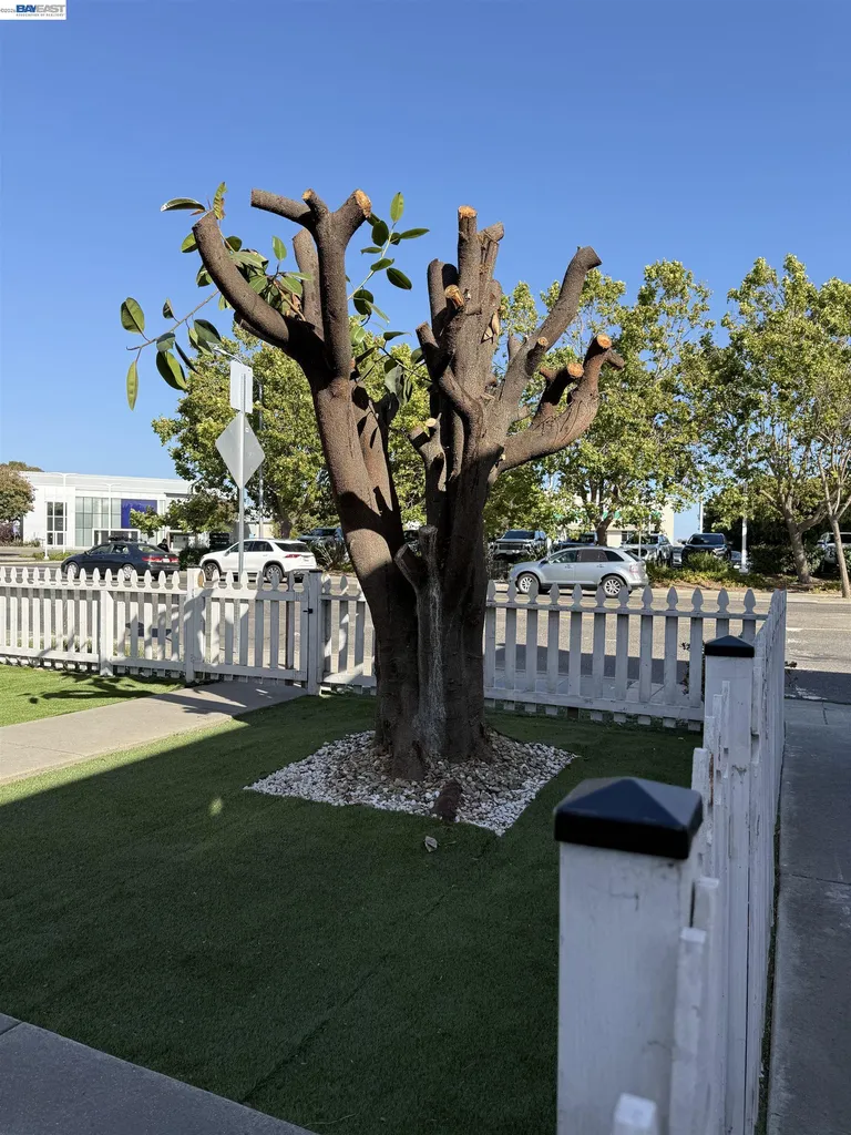 550 Marina Boulevard San Leandro CA 94577