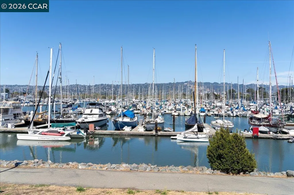 1538 Russell Street Berkeley CA 94703